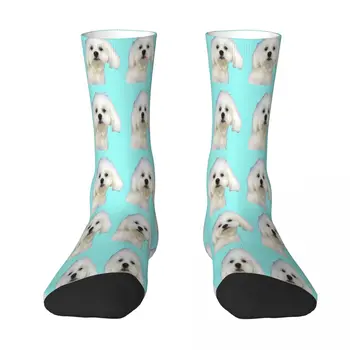  Мальтийский щенок на синем носке, Мужские Женские чулки из полиэстера, настраиваемый дизайн