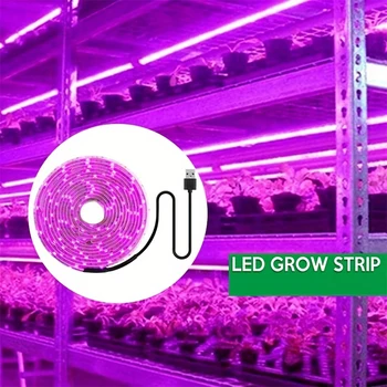  Фитолампа для выращивания растений Выращивание цветов в теплице Гидропонная лампа 5V LED USB Лампа для выращивания всего спектра Не Waterpro